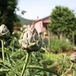 Appartement Menderi Hills *
