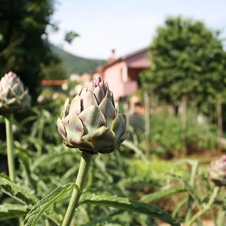 Appartamento Menderi Hills *