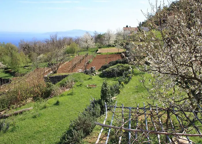 Menderi Hills